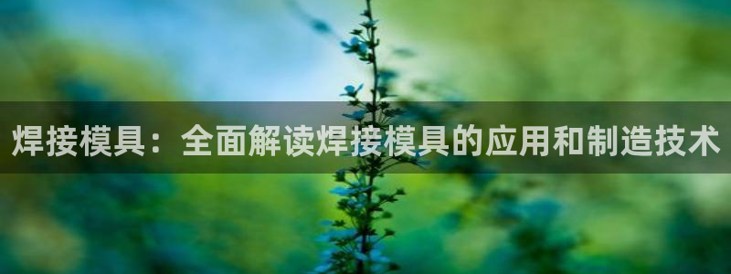 太阳商城贵宾会2017cm：焊接模具：全面解读焊接模具的应用和制造技术