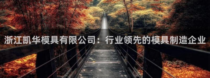 太阳集团app十佳平台是什么：浙江凯华模具有限公司：行业领先的模具制造企业
