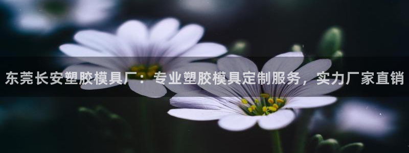 太阳游戏汉化：东莞长安塑胶模具厂：专业塑胶模具定制服务，实力厂家直销