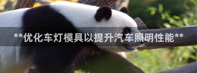 太阳游戏成语