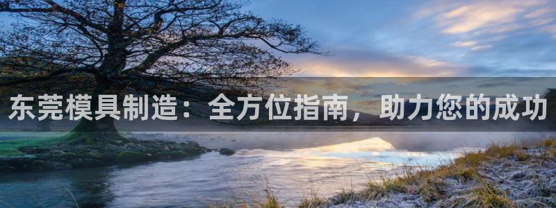太阳集团网站入口官网：东莞模具制造：全方位指南，助力您的成功