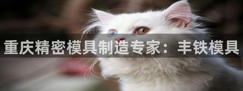 太阳成集团老板：重庆精密模具制造专家：丰铁模具