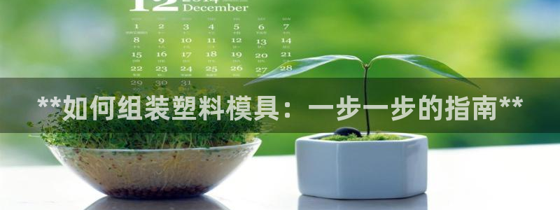 2138cn太阳集团古天乐·网上娱乐：**如何组装塑料模具：一步一步的指南**