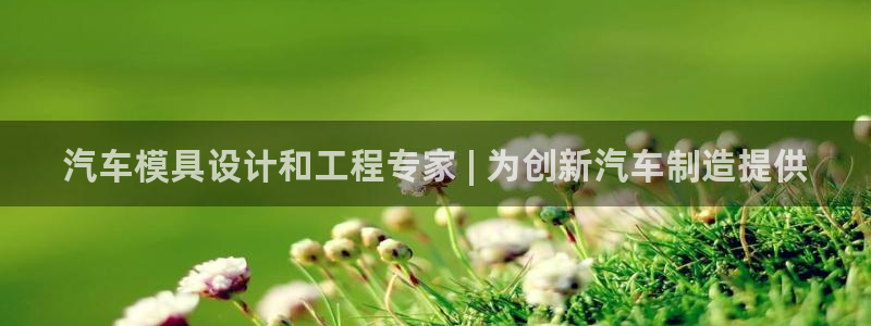 太阳集团贵宾网站：汽车模具设计和工程专家 | 为创新汽车制造提供