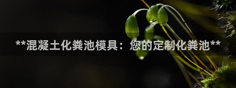 太阳成集团老板是谁：**混凝土化粪池模具：您的定制化粪池**