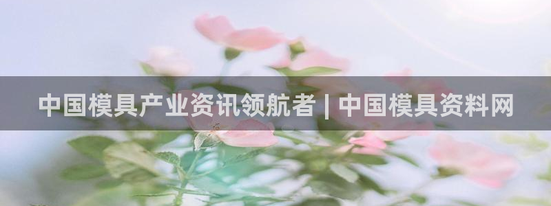 44118太阳成城集团：中国模具产业资讯领航者 | 中国模具资料网
