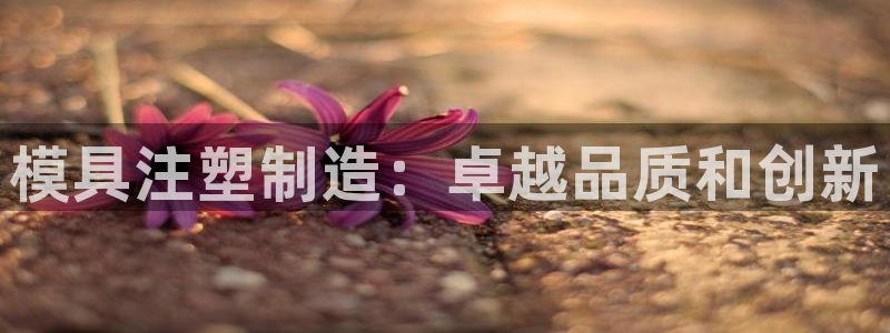 太阳app下载安装：模具注塑制造：卓越品质和创新