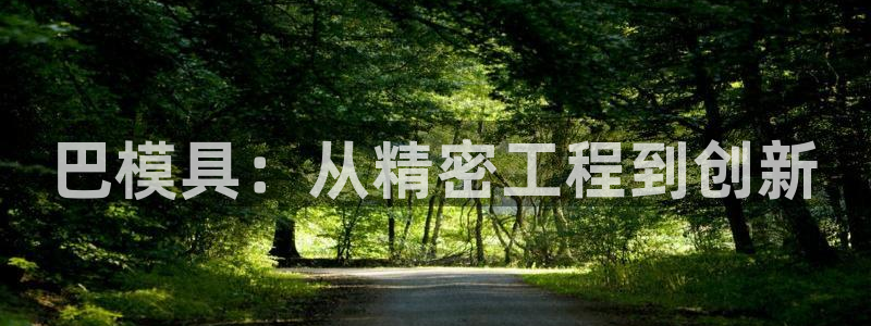 太阳集团市值：巴模具：从精密工程到创新
