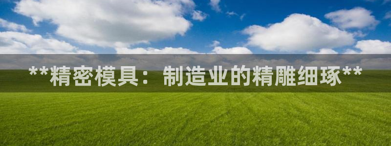 太阳集团城登录网址：**精密模具：制造业的精雕细琢**