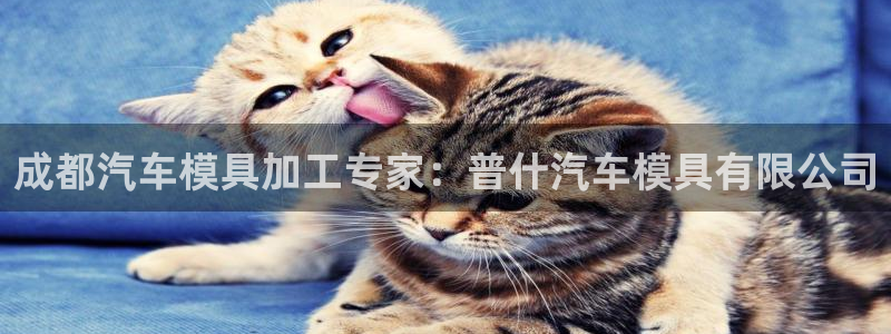 太阳集团官网导航下载：成都汽车模具加工专家：普什汽车模具有限公司