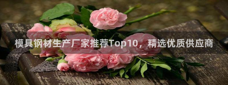 太阳集团2018登录网址查询：模具钢材生产厂家推荐Top10，精选优质供应商