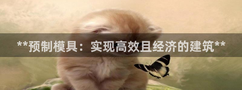 太阳集团古天乐代言：**预制模具：实现高效且经济的建筑**