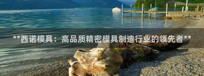 太阳成集团网站005：**西诺模具：高品质精密模具制造行业的领先者**