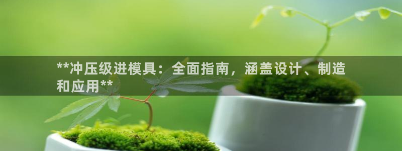 太阳成集团tyc122cc：**冲压级进模具：全面指南，涵盖设计、制造
和应用**