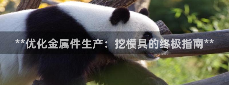 太阳地产集团：**优化金属件生产：挖模具的终极指南**