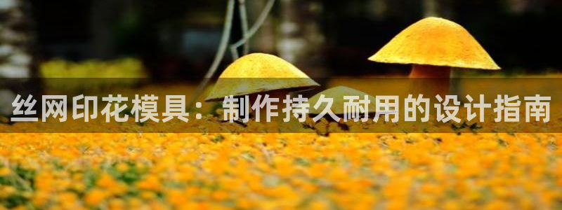 太阳成集团tyc33455cc官网：丝网印花模具：制作持久耐用的设计指南