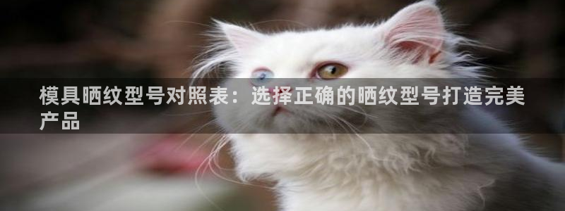 太阳集团电子游戏官网：模具晒纹型号对照表：选择正确的晒纹型号打造完美
产品