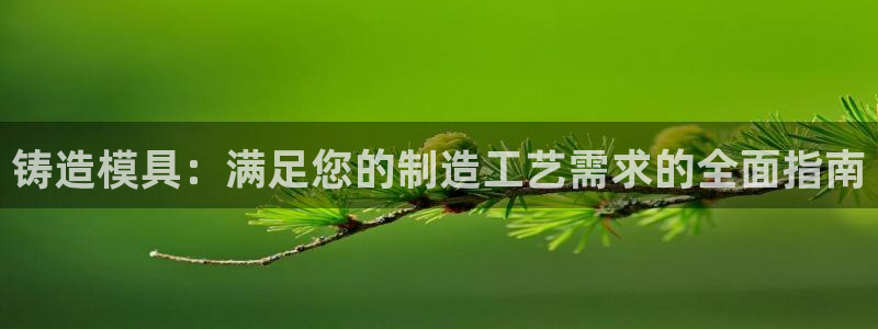 太阳成集团网址：铸造模具：满足您的制造工艺需求的全面指南