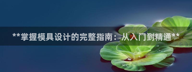 太阳gg官网登录：**掌握模具设计的完整指南：从入门到精通**