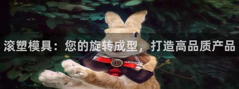 063801太阳集团备用网址：滚塑模具：您的旋转成型，打造高品质产品