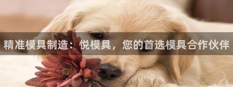太阳gg娱乐胺44262：精准模具制造：悦模具，您的首选模具合作伙伴