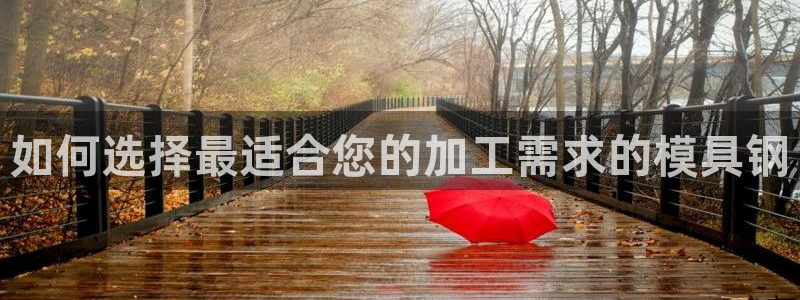 太阳成集团控股官网：如何选择最适合您的加工需求的模具钢