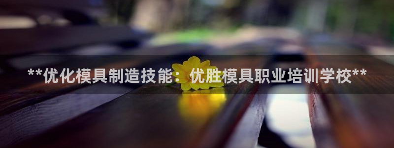 太阳集团网投：**优化模具制造技能：优胜模具职业培训学校**
