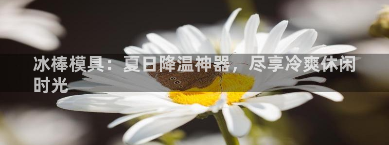 太阳集团城所有网址是多少：冰棒模具：夏日降温神器，尽享冷爽休闲
时光