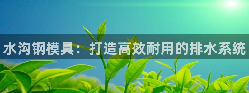 太阳成集团tyc33455cc平台：水沟钢模具：打造高效耐用的排水系统