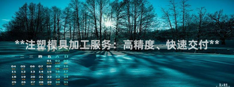 太阳集团电子游戏返还8元：**注塑模具加工服务：高精度、快速交付**