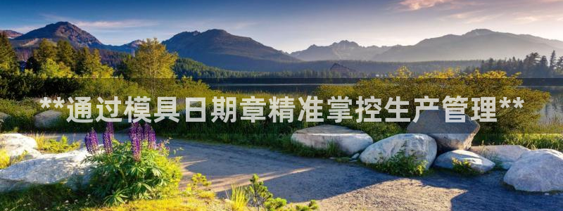 太阳集团2018登录网址是多少：**通过模具日期章精准掌控生产管理**