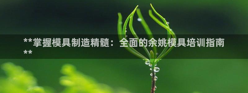古天乐代言太阳集团线路检测：**掌握模具制造精髓：全面的余姚模具培训指南
**