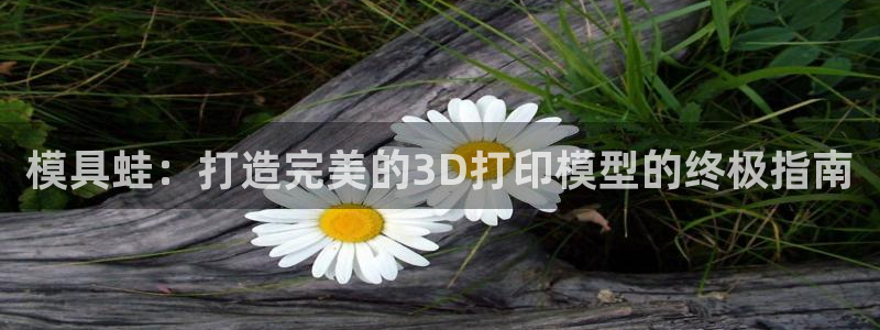 太阳集团网址8722：模具蛙：打造完美的3D打印模型的终极指南