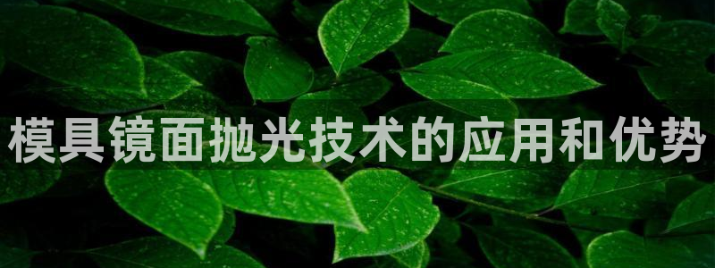 太阳成集团百度百科：模具镜面抛光技术的应用和优势