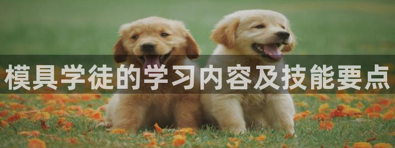 太阳集团2007：模具学徒的学习内容及技能要点