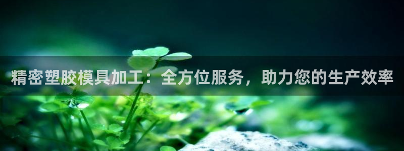 太阳成集团老板是谁：精密塑胶模具加工：全方位服务，助力您的生产效率