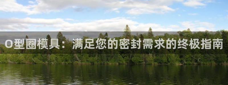 太阳集团市值：O型圈模具：满足您的密封需求的终极指南