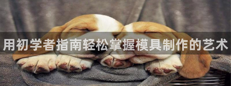 太阳集团电视剧：用初学者指南轻松掌握模具制作的艺术