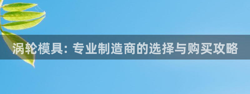 太阳集团游戏城：涡轮模具: 专业制造商的选择与购买攻略