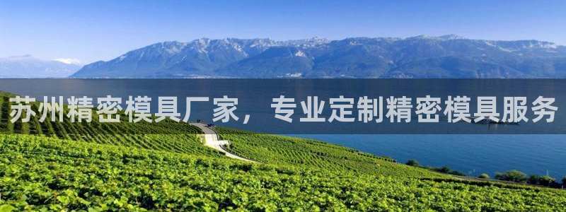 太阳集团董事长是谁呀：苏州精密模具厂家，专业定制精密模具服务