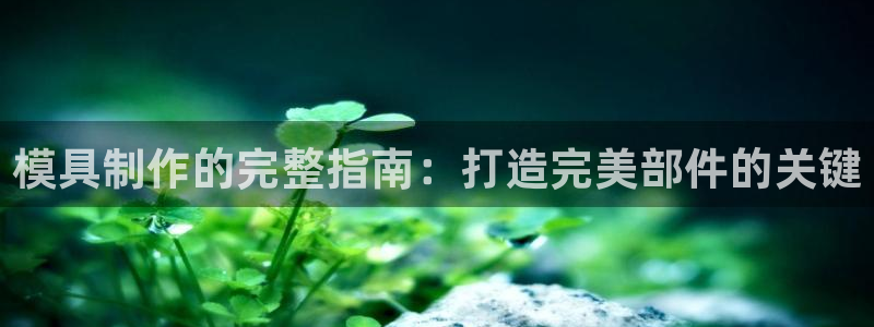 太阳诚集团有限公司是国企吗还是央企：模具制作的完整指南：打造完美部件的关键