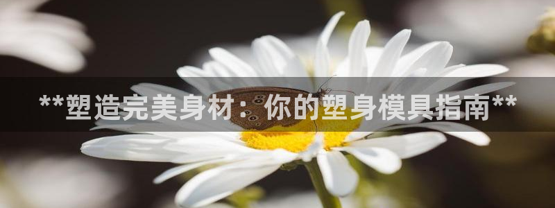 太阳集团电子游戏：**塑造完美身材：你的塑身模具指南**