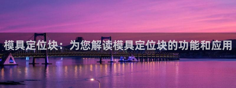 太阳诚集团有限公司是国企吗还是私企：模具定位块：为您解读模具定位块的功能和应用