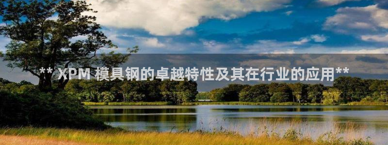 澳门太阳成城集团洗米华：** XPM 模具钢的卓越特性及其在行业的应用**