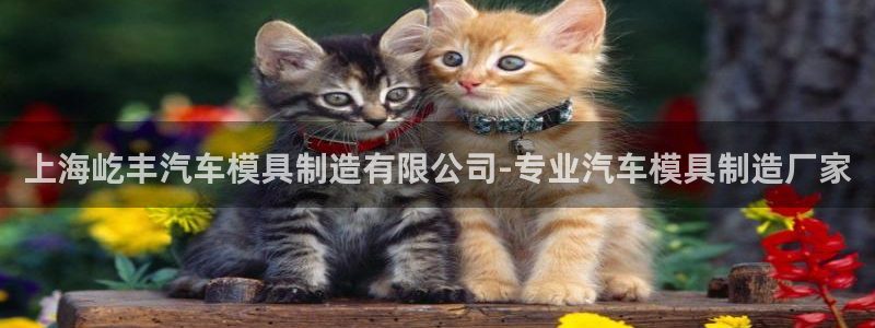 太阳集团网站多少：上海屹丰汽车模具制造有限公司-专业汽车模具制造厂家