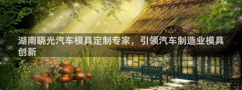 太阳成集团tyc234cc振兴：湖南晓光汽车模具定制专家，引领汽车制造业模具
创新