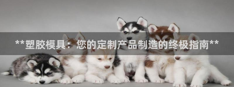 太阳2平台网站：**塑胶模具：您的定制产品制造的终极指南**