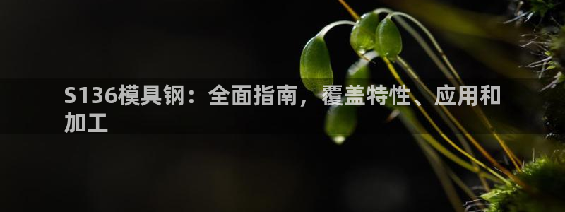 太阳成集团网址 app：S136模具钢：全面指南，覆盖特性、应用和
加工