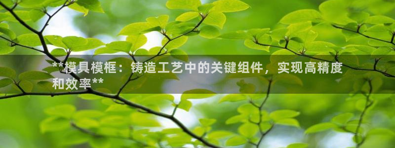 太阳成集团游戏是正规平台嚒：**模具模框：铸造工艺中的关键组件，实现高精度
和效率**