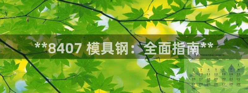 太阳集团官网导航首页：**8407 模具钢：全面指南**